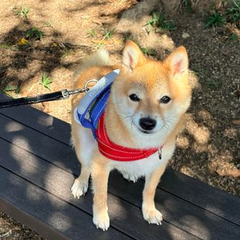 ありがとね💓