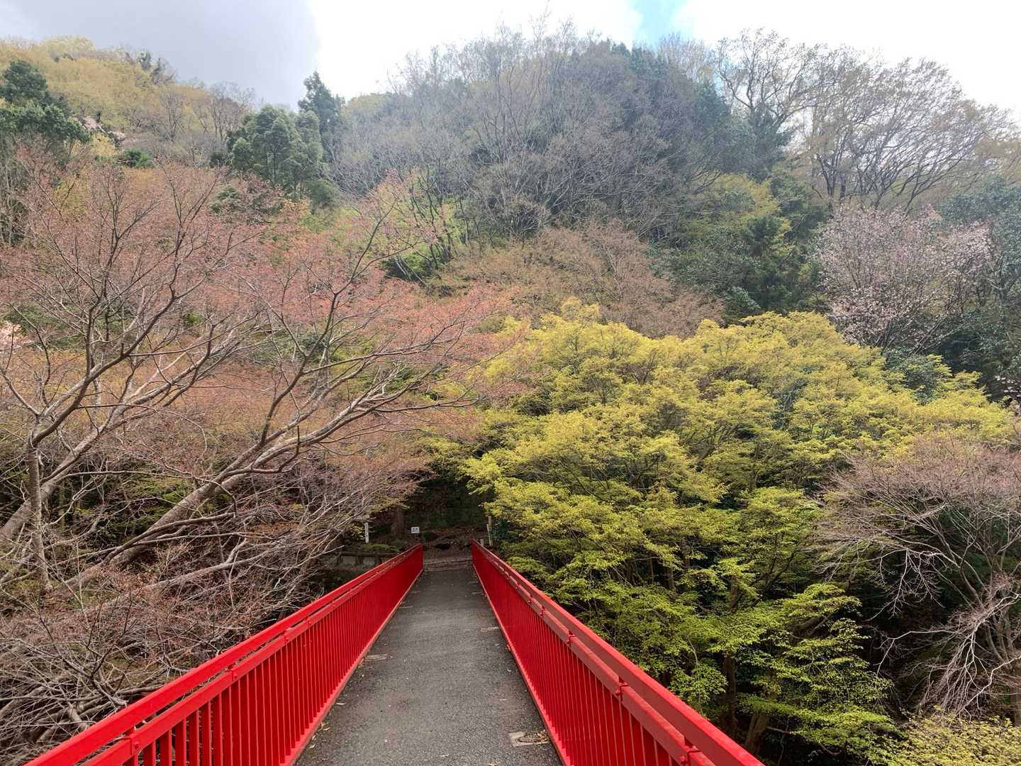 神津嶽 往復コースの写真