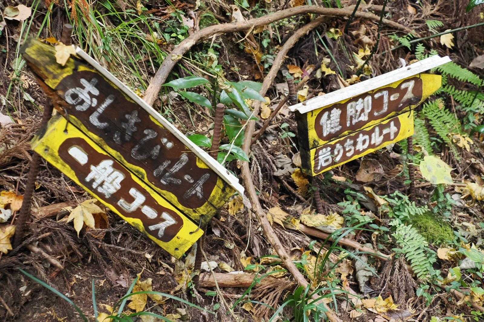 👈もちろん一般コースです😝