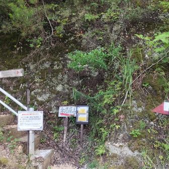 金毘羅山登り口駐車場(多賀の碑)に降りました。登山道が終わりました。ここからは私は新鵜沼駅方面に戻りたかったので、アスファルトの道を各務原公園方面に降りました。ここは関市のようですが、降りる途中で各務原市に戻りました。ここから大岩山見晴台を目指したり、各務野自然遺産の森を目指して降りる登山道もありました。