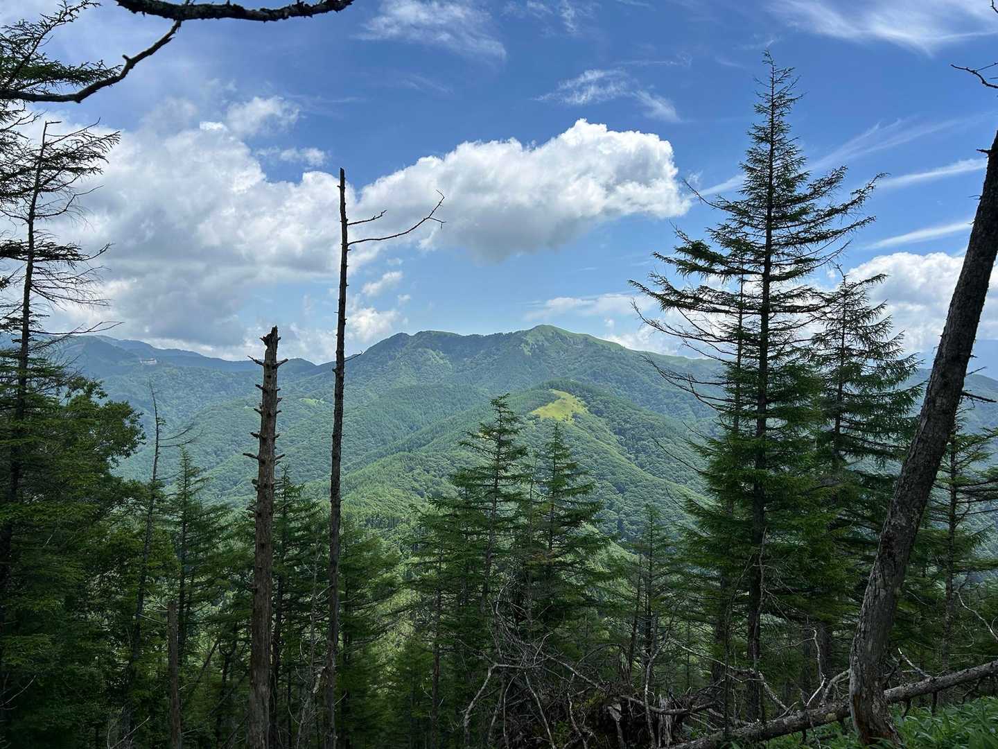 遠くになった三峰山