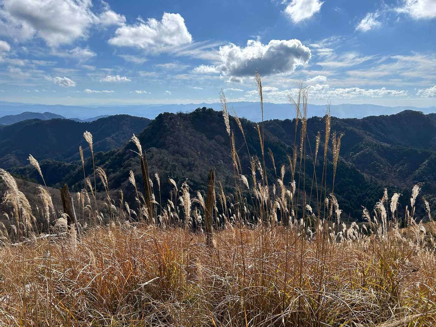 良い天気だ✨