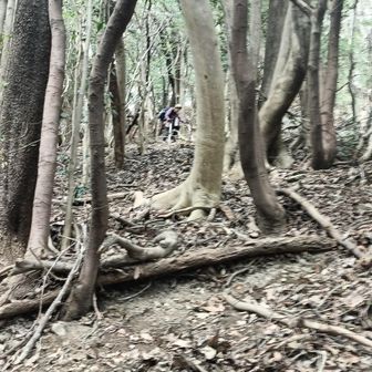 ロープもなく急降下
（ストック持ってて良　　　　　
　かったよ）