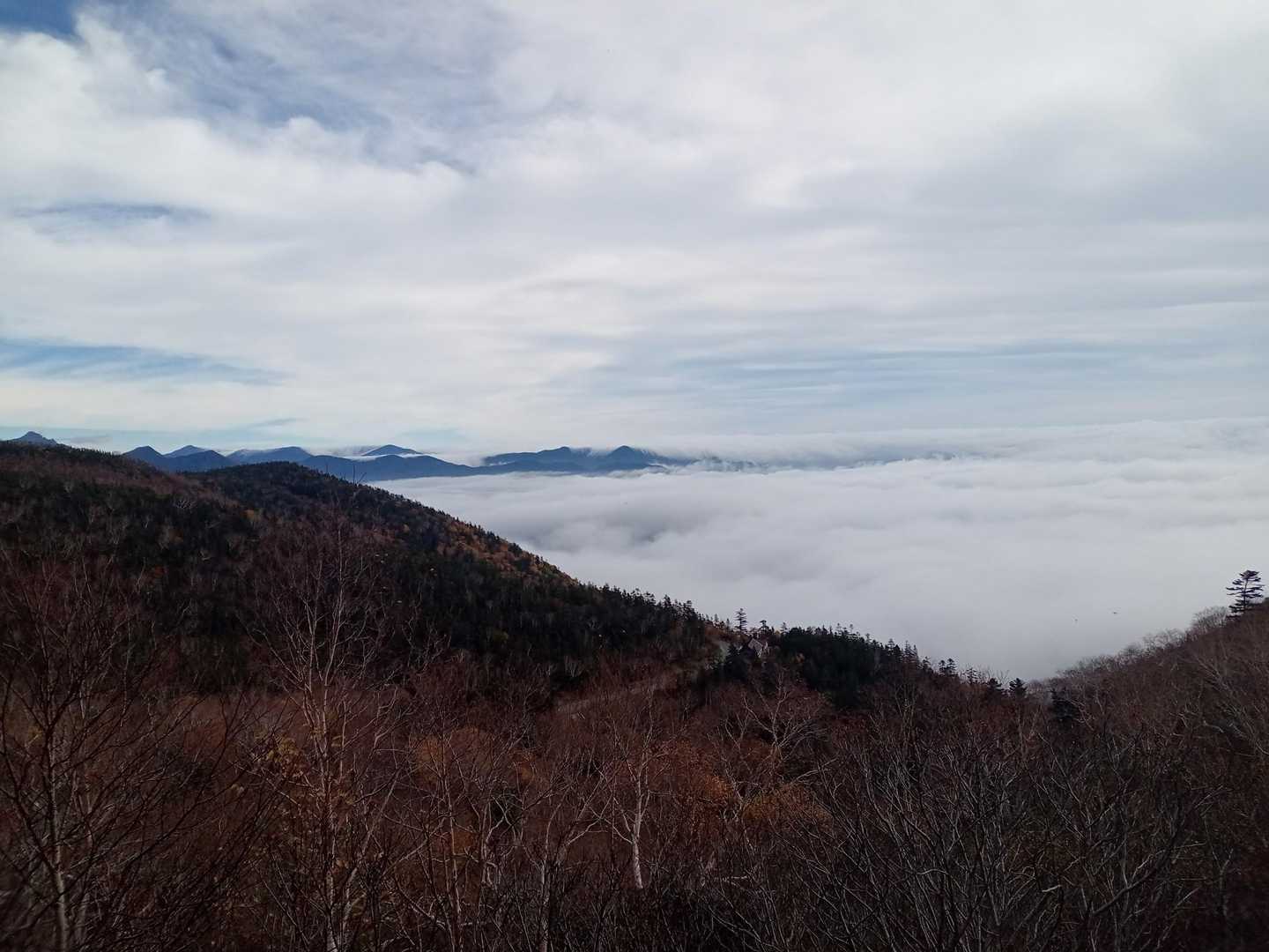林道から奥を見ると、雲海が滝雲のようになっていました。