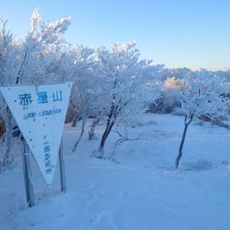 赤星山山頂は真っ白