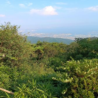 左下の通せんぼしてるところから登山の亡者がうじゃうじゃ湧いてくることがあるらしーにゃ。
デスロードにゃ。