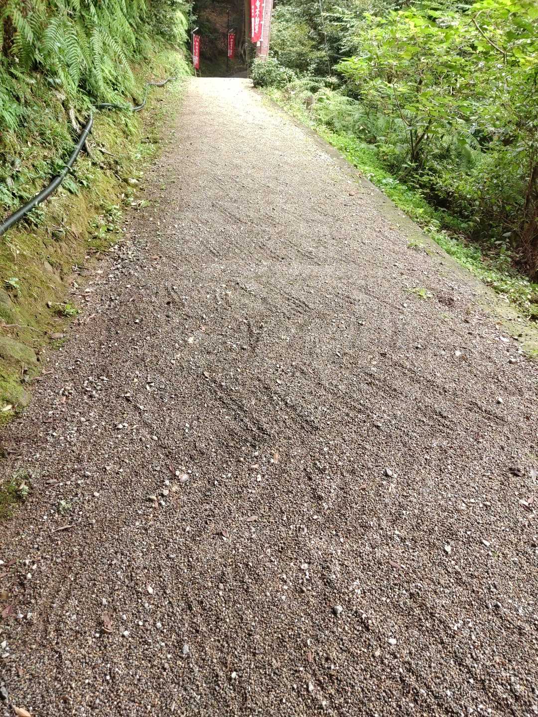 ❮枯山水か？❯
古傷の影響と年齢的なものかな😌

