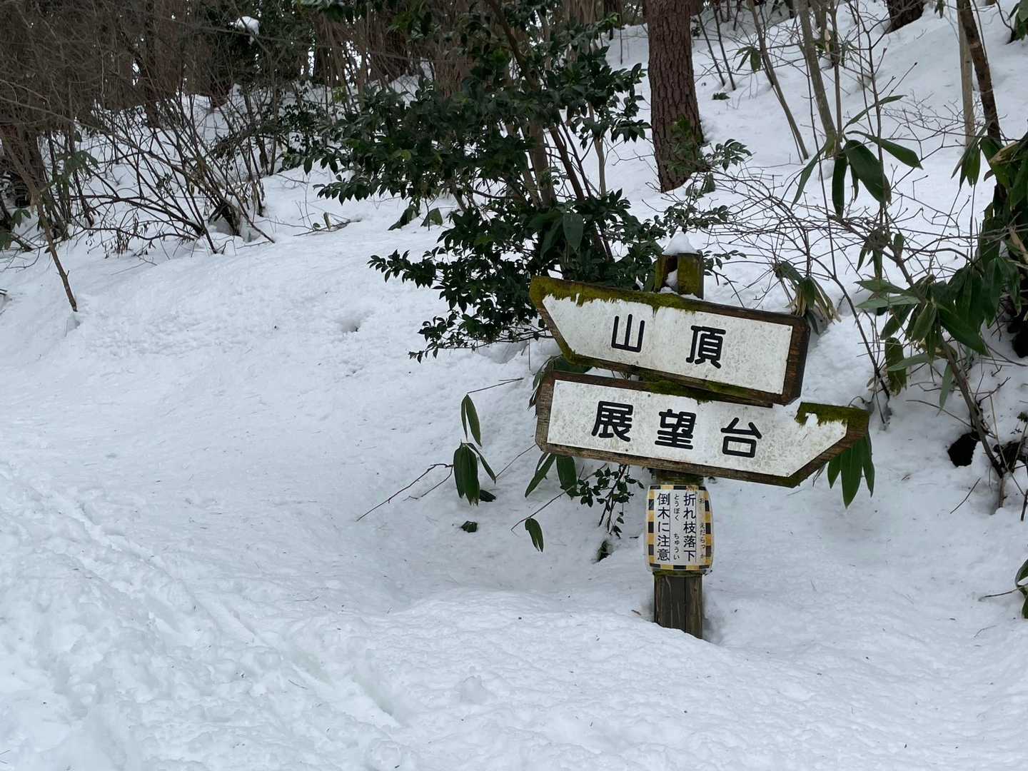 このような案内板がありますが、山頂と言えども全てが雪の下に隠れているので、何山を登っているのかがさっぱり分かりませんでした😵
フォロワーのてっちゃんは今年のお正月に迷路のようにこちらの公園を歩かれており、
猫山•焼山•鵜山•大沢山etc…小さな看板を載せていましたが…😅