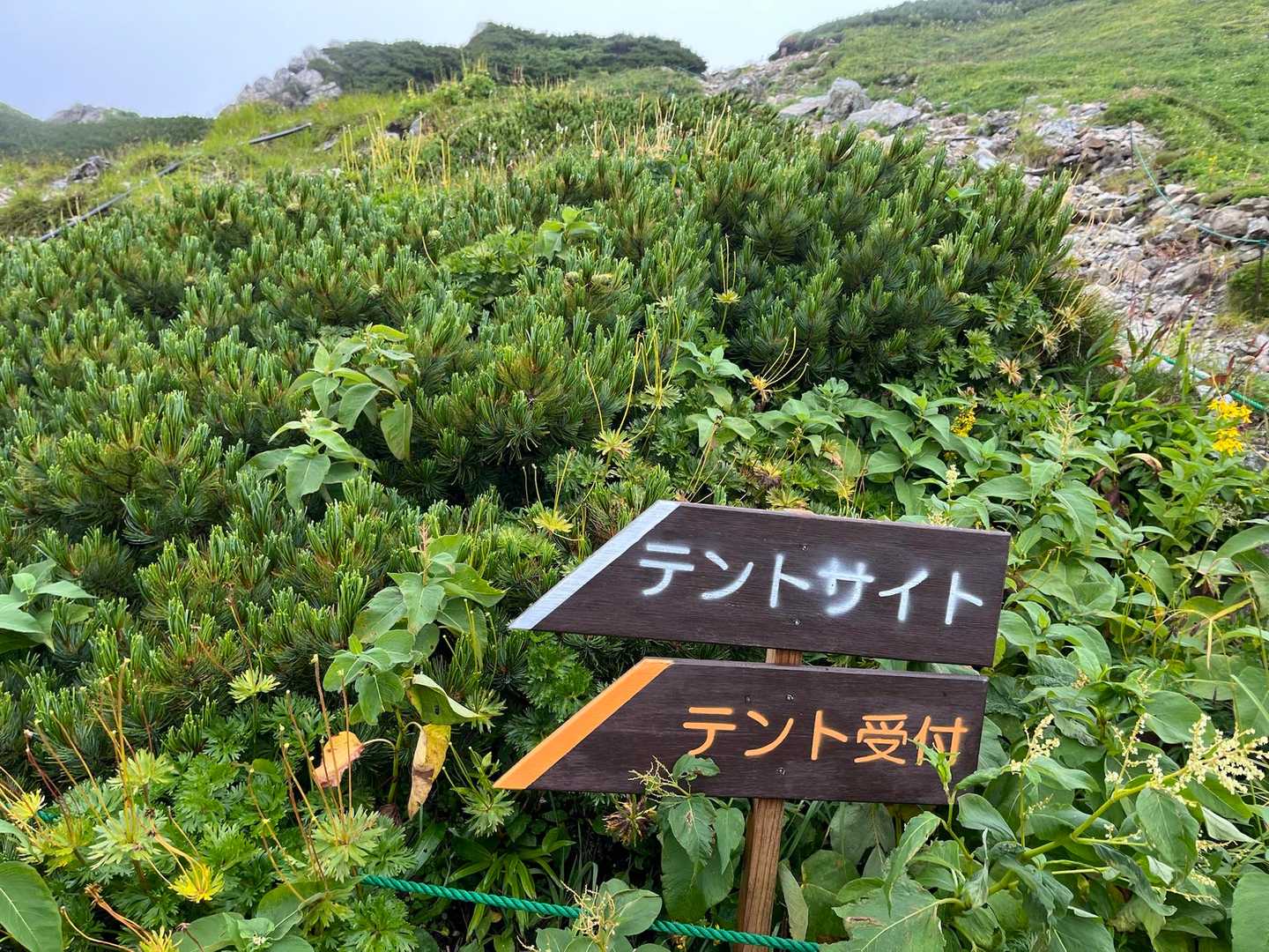 テント受付⛺️
1張り3000円、6年前は2,000円だったかな…値上がりしましたよね😳