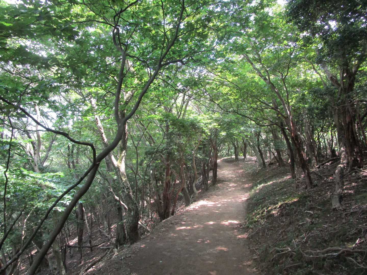 同じルートで下山します。