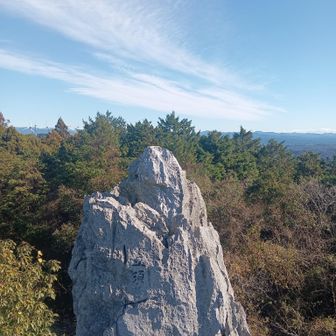 お〜ここだわ〜🎶😍