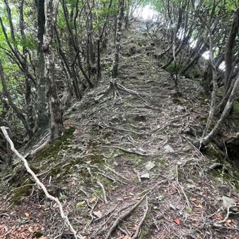 まだ元気に登れます