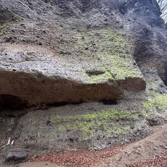 修験場には緑の苔が