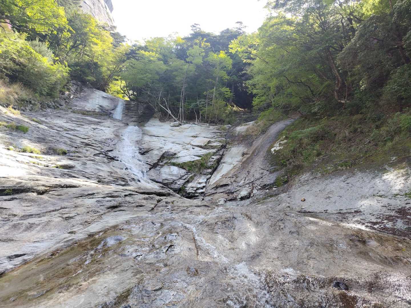 鬼の目山登山口-鬼の目山-鉾岳 往復コースの写真