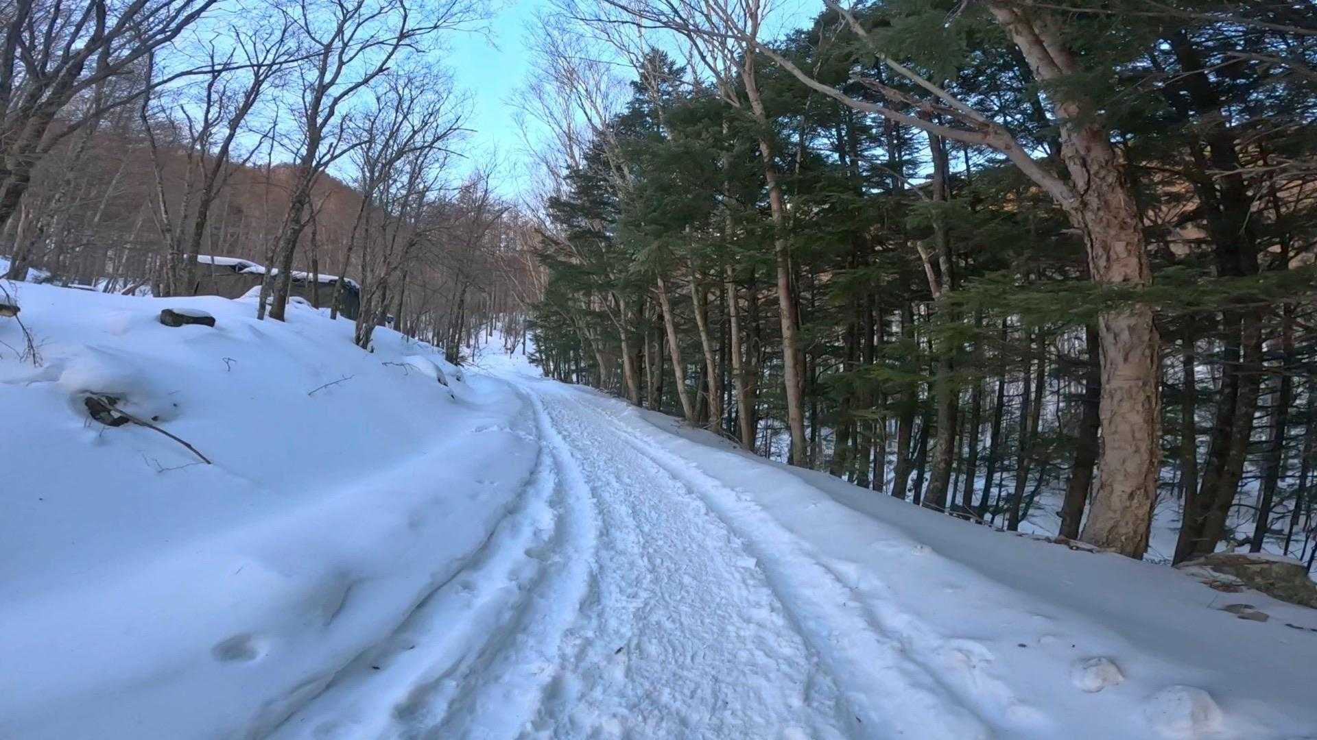 車道を少し歩きます