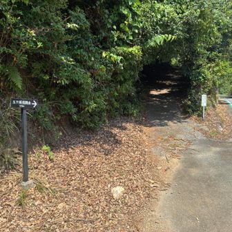 五ヶ所浅間山へ