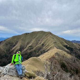 カズライトイヤー