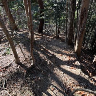 ここから道がちょっと険しいと言うか神経を使いながら歩きました。