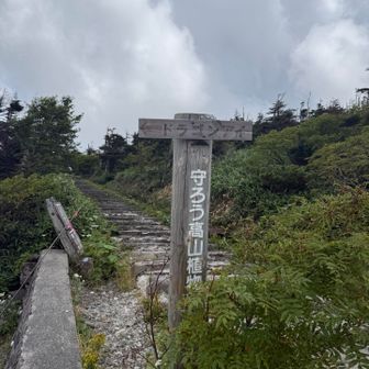 よくみると、
←ドラゴンアイ
の標識が