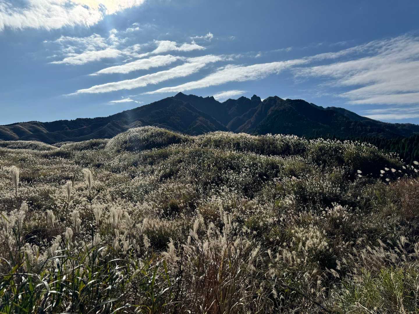 根子岳東峰 往復コースの写真
