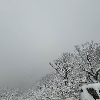 男すら見えない