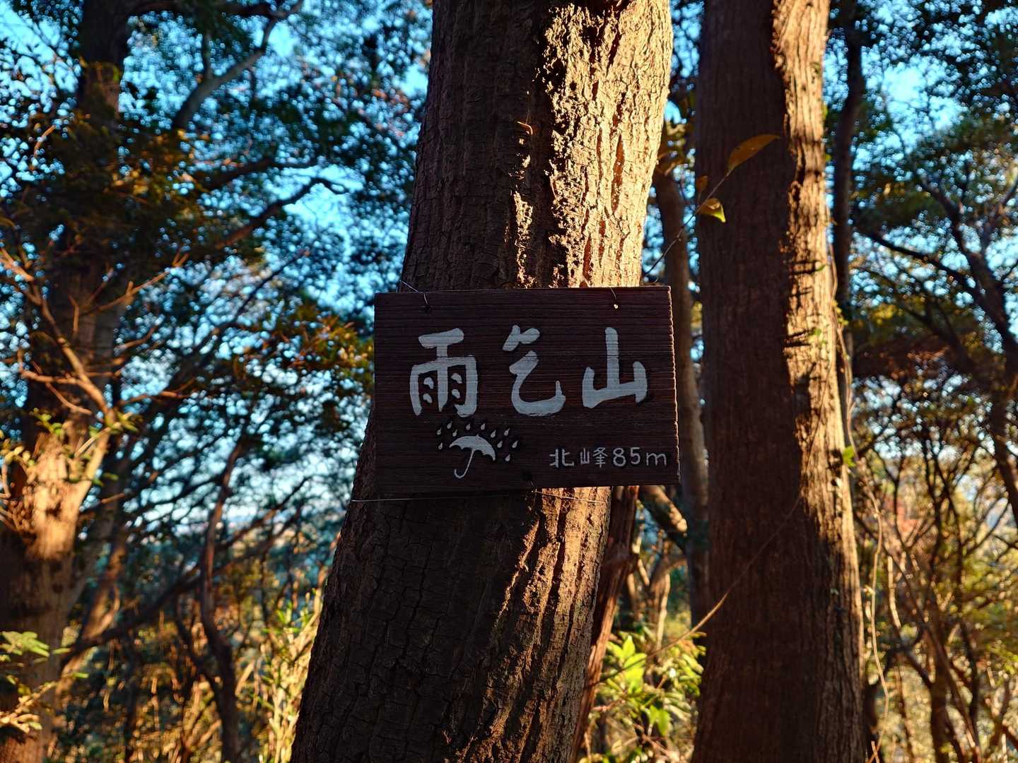 パパ山-取り付き-取り付き 周回コースの写真