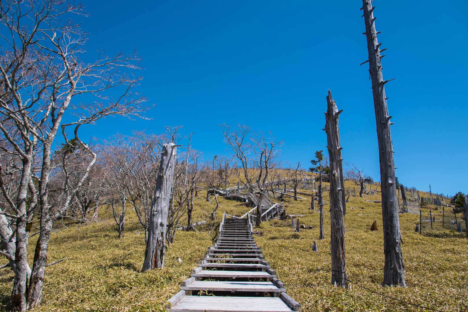 大台ヶ原山（日出ヶ岳）の写真