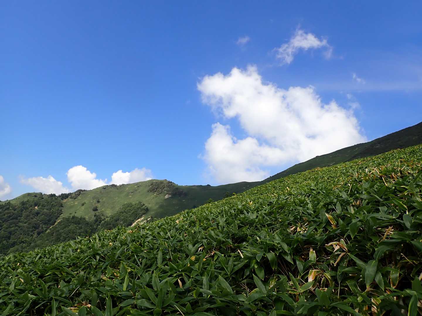 寒風山への道はいい天気