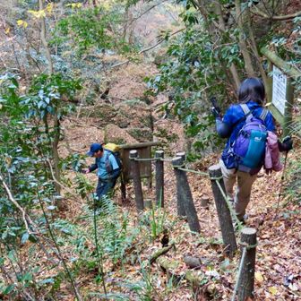 さて、次は安龍ヶ滝に向かいますが…