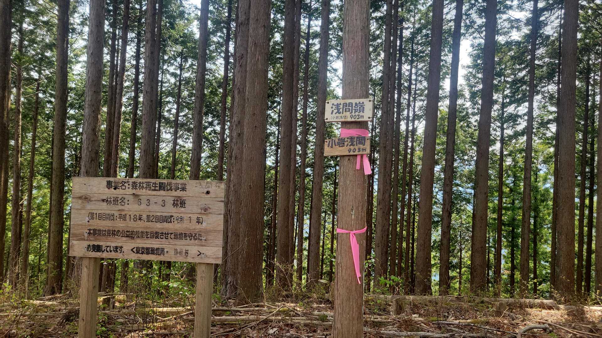 手前に１つニセピークがありました。
ニセピークをやり過ごして浅間嶺（小岩浅間）に到着。
