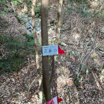 痛めた左脚を引きずりながら正面口近くまで。≒100mってのがちょっとツボ。