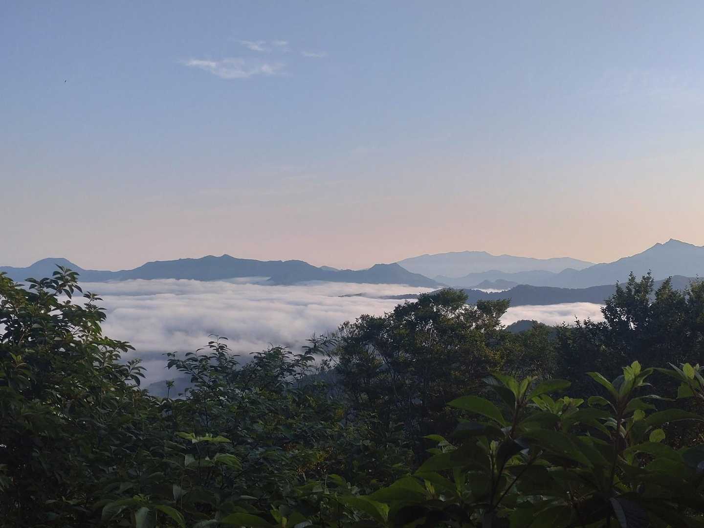 急登の間から見える雲海