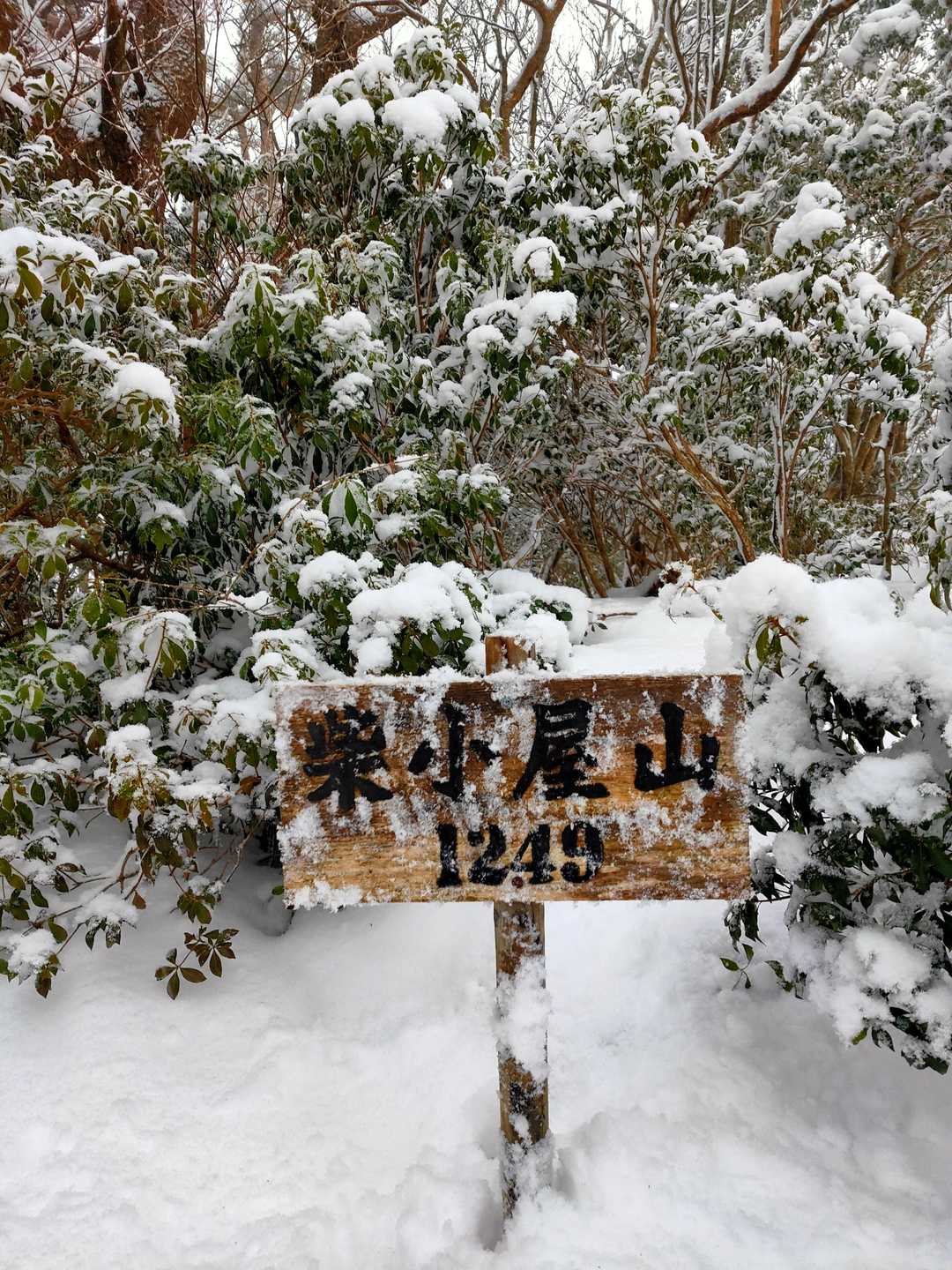 柴小屋山1249m