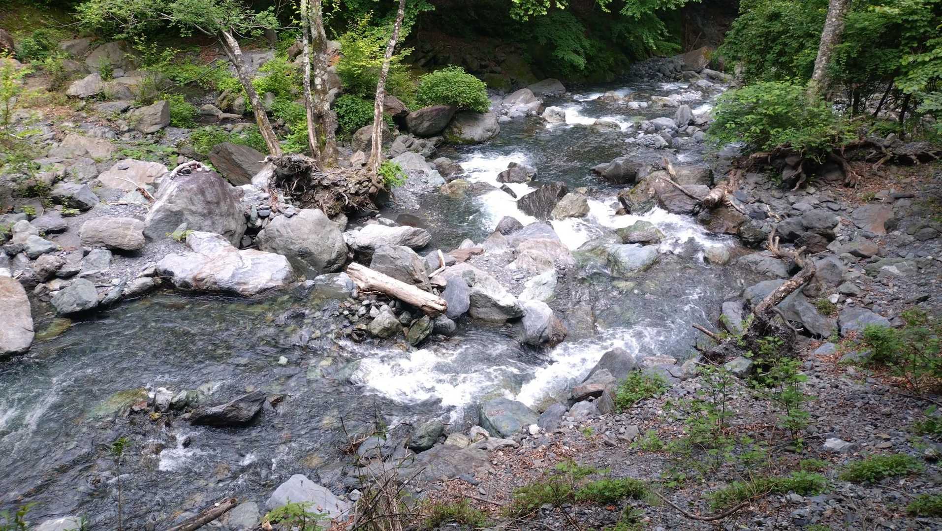 渡渉ポイントまで下りてきました。
疲弊しまくった状態で飛び石ジャンプできるのか⁉️😱

意外とフツーにできました🤣