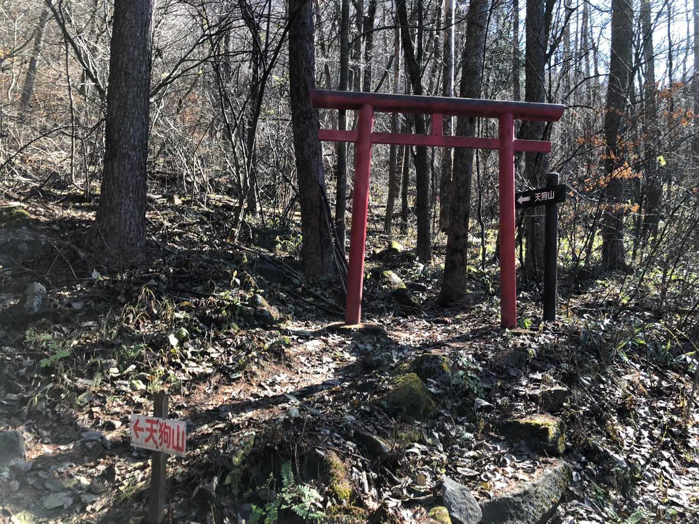 ここまで舗装道路　鳥居から登山道へ