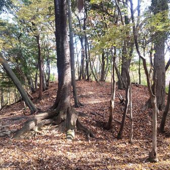 修学院山山頂、と言っても小高い丘みたいな・・・