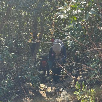 ちょうど登って来られたよ😆💚