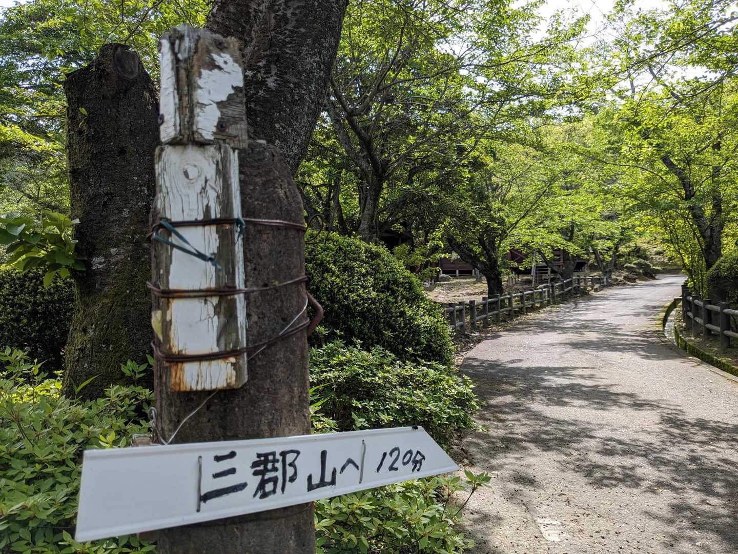 昭和の森からスタート