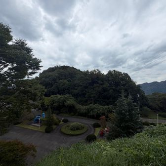 雌龍籠山を眺める