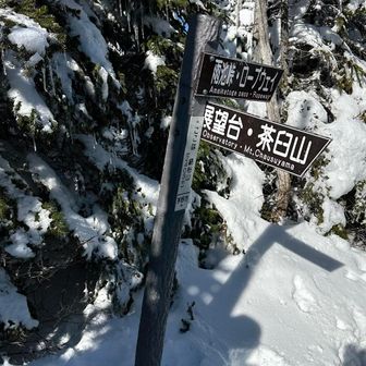 縞枯山山頂へやっと到着、麓から20分くらいかかった、ここは眺望なしのため展望台へ
