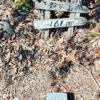 新城山　三角点