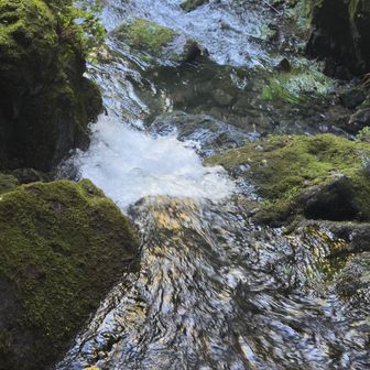 滝から流れる水は急流💦