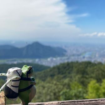 カエルさんも満足そう🐸