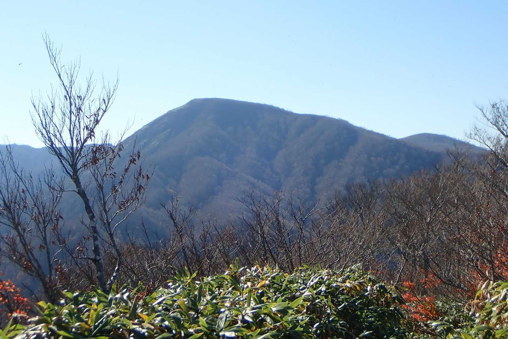 大日山