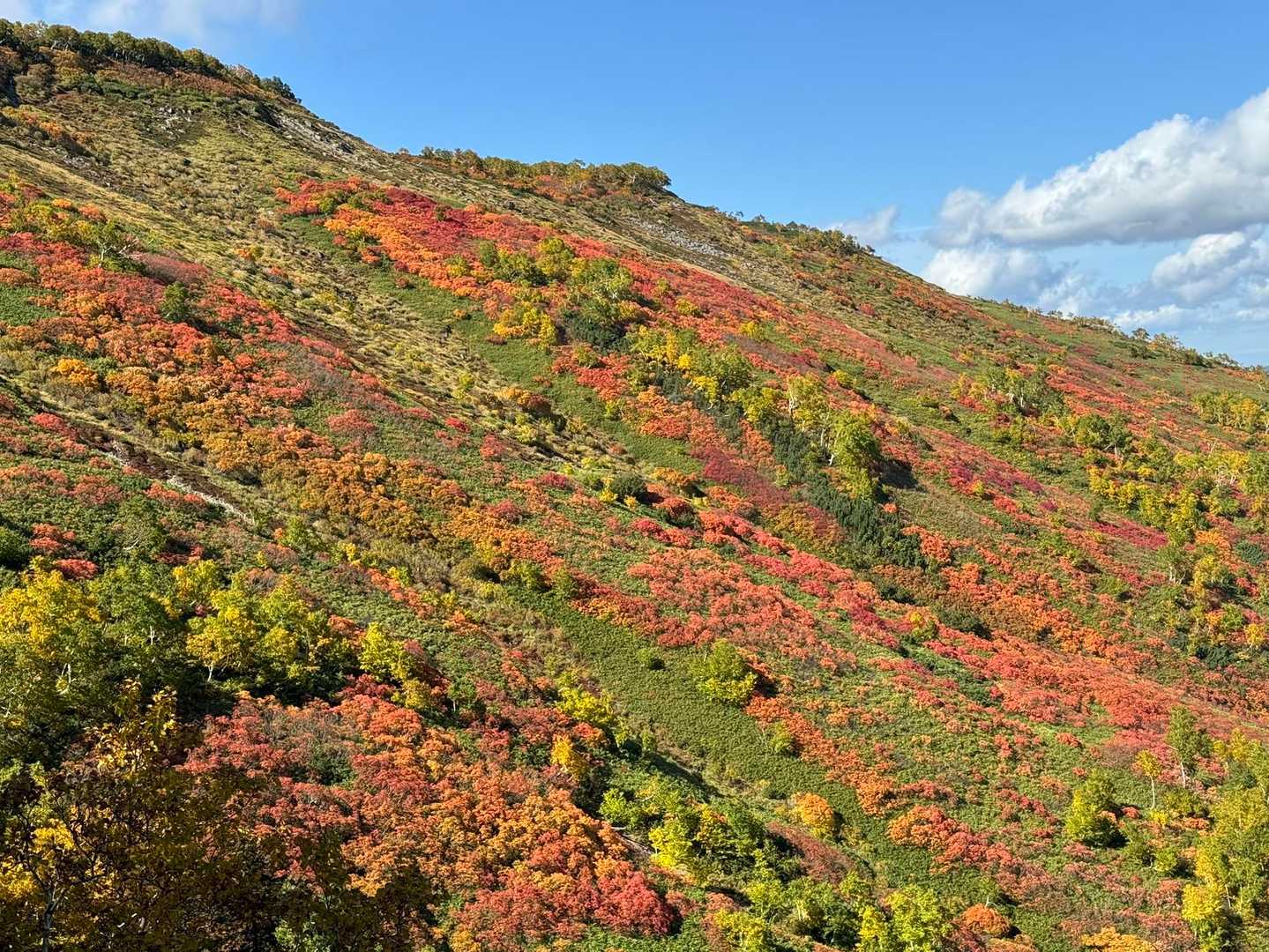 赤岳登山口-第一花園-赤岳 往復コースの写真
