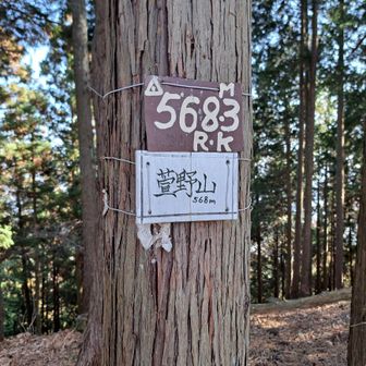 眺望の無い萱野山。今日はここから戻ります。