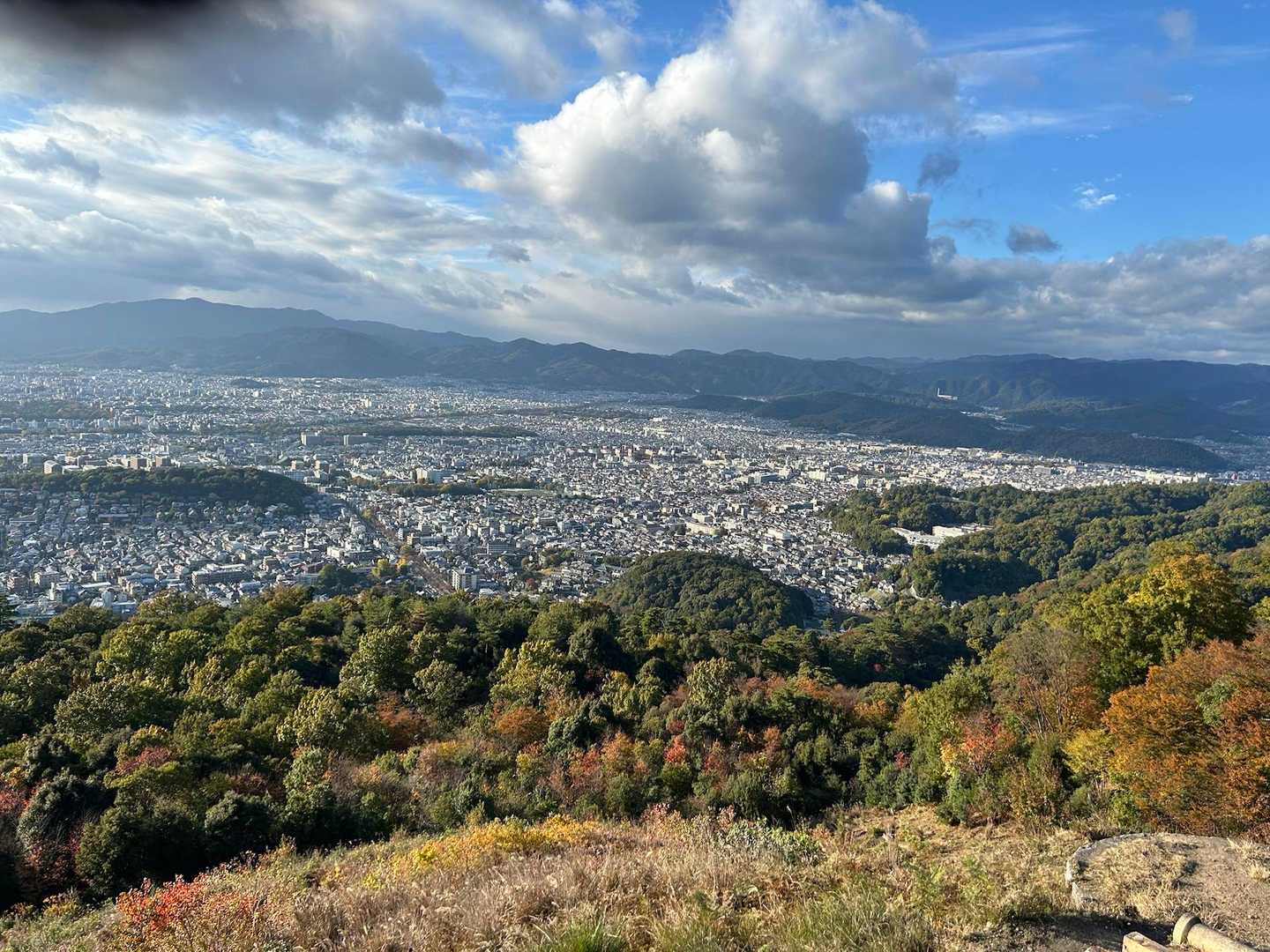 所々🍁