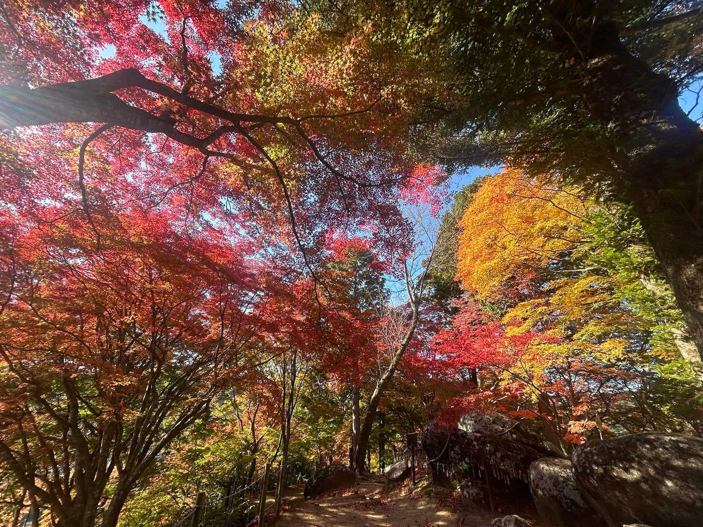 思ったより沢山の人がいました