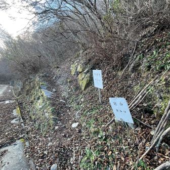 さあ、スタート▶️