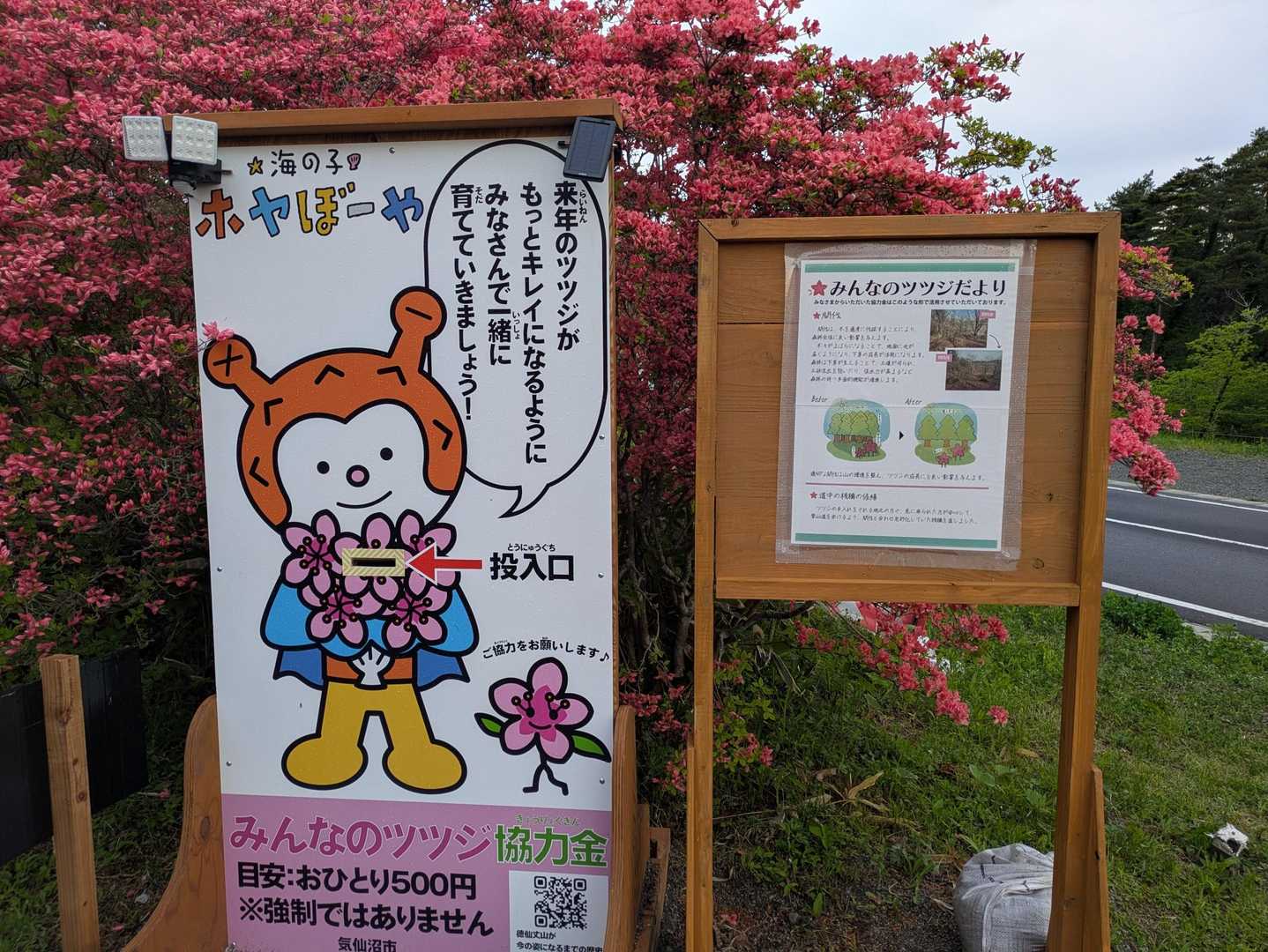 気仙沼側登山口-徳仙丈山 往復コースの写真